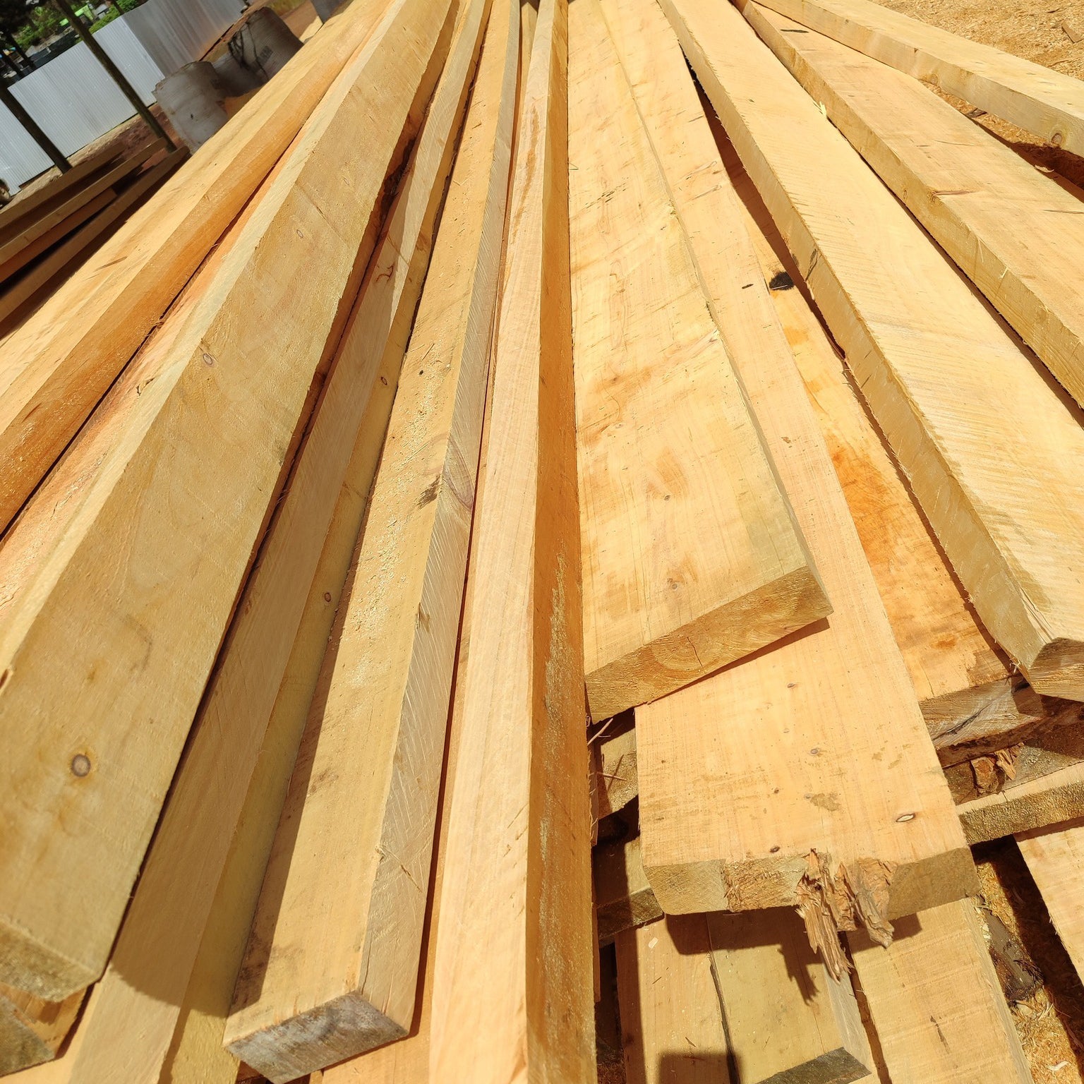 Timber Translate 4×2 Normal Cypress Timber – Mastercraft Timber & Hardware